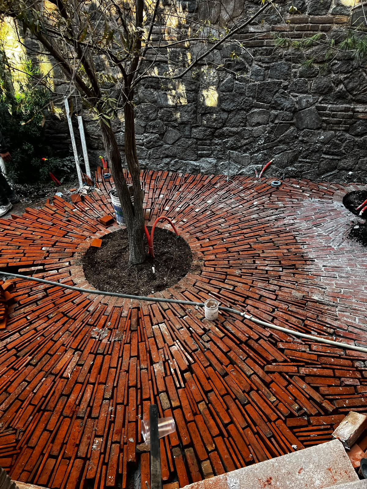 Piso de ladrillo en patrón radial alrededor de árbol